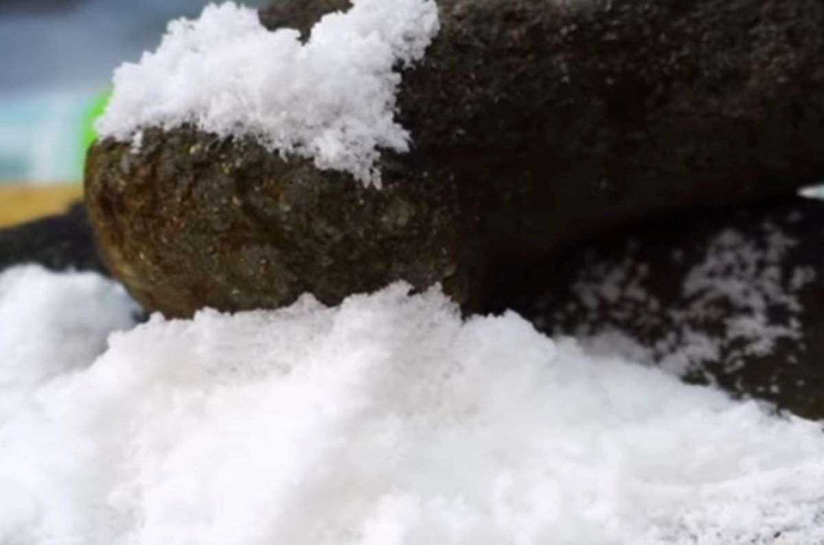 SILAHKAN DICOBA! Ini 4 Bahan Alami yang Bisa Mengatasi Kutu Air