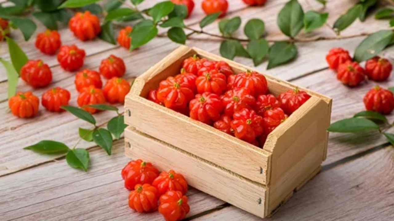 Hanya Satu Buah Ini Bisa Tingkatkan Imun, Jaga Jantung, dan Lindungi Mata 