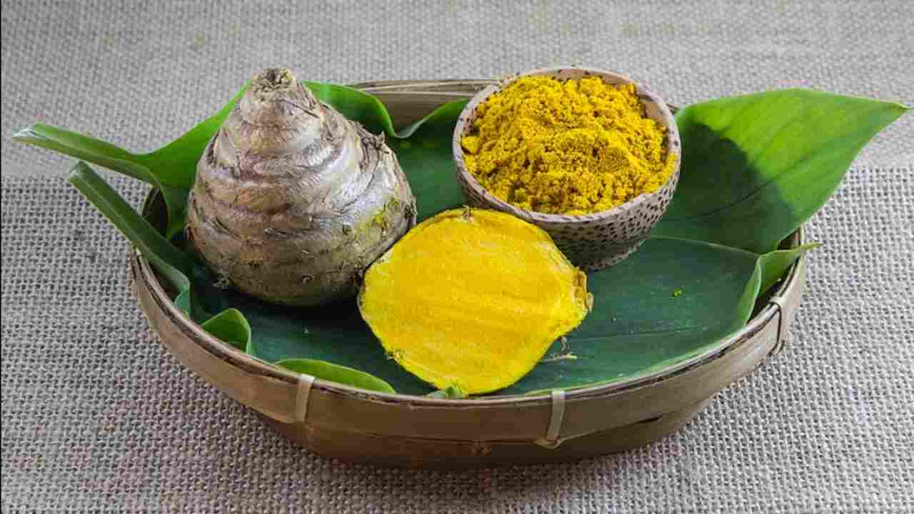 Rahasia Sehat Alami! 7 Manfaat Temulawak yang Sering Dianggap Sepele