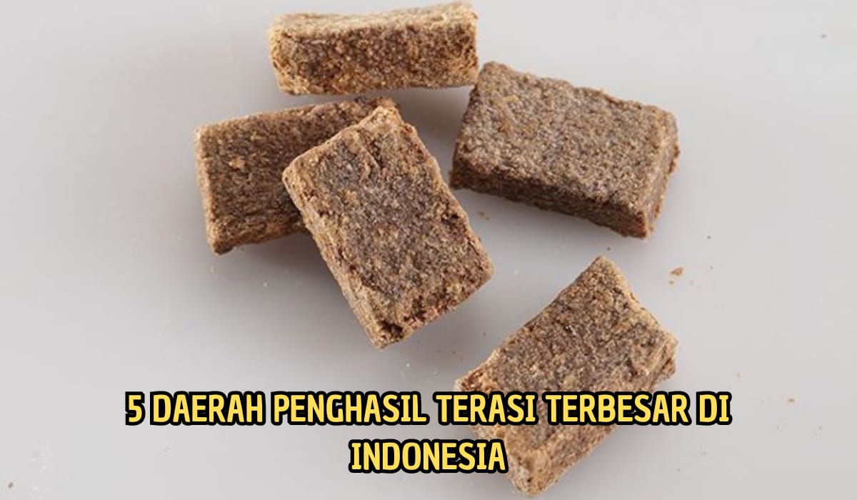 Memiliki Cita Rasa yang Khas dan Nikmat! 5 Daerah Ini Penghasil Terasi Terbesar di Indonesia