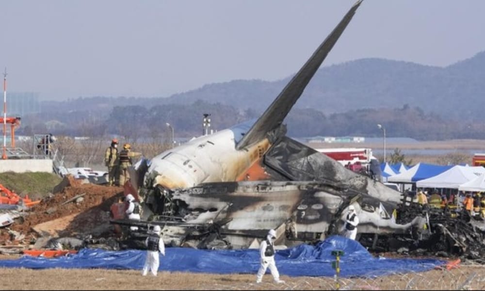 SEDIH! Inilah Pesan Terakhir Penumpang Jeju Air : Ungkap Ada Burung yang Tersangkut di Sayap Pesawat 