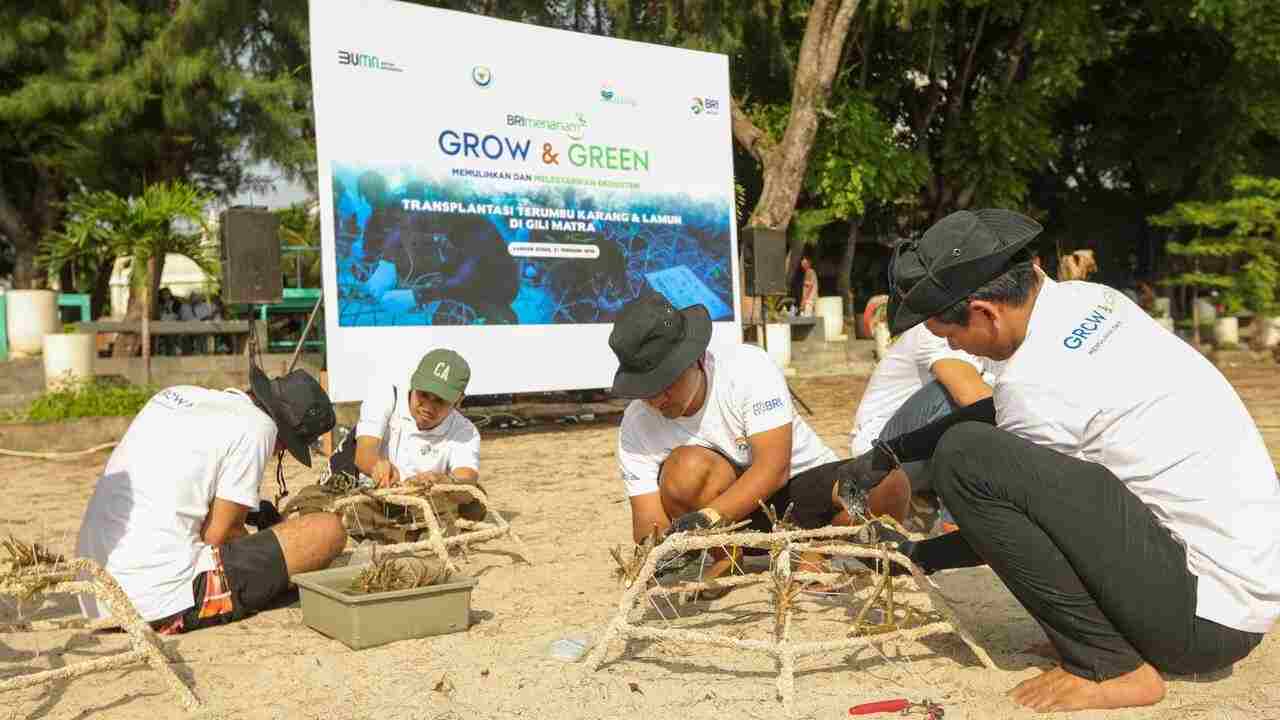 BRI Menanam 'Grow & Green' Transplantasi Terumbu Karang, Ujung Tombak Pelestarian Ekosistem Laut di NTB