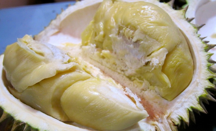 4 Khasiat Makan Durian yang Jarang Diketahui, Salah Satunya Bikin Awet Muda, Pecinta Durian Full Senyum Nih