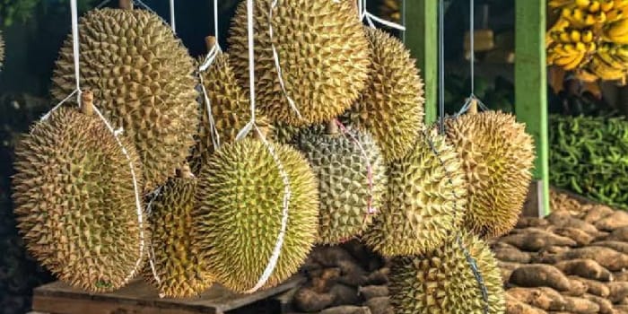 7 Khasiat Utama Buah Durian Untuk Kesehatan yang Jarang Diketahui 