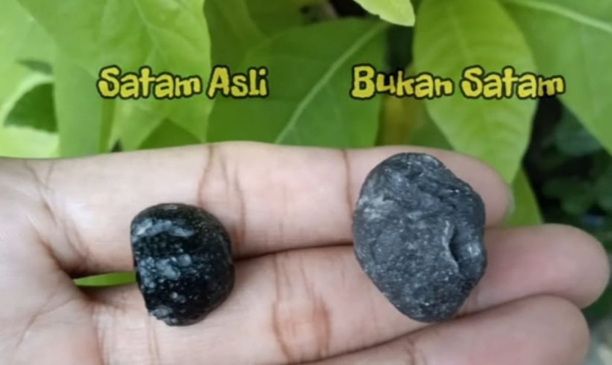 Cara Membedakan Batu Satam Asli dan Palsu yang Wajib Pecinta Akik Ketahui