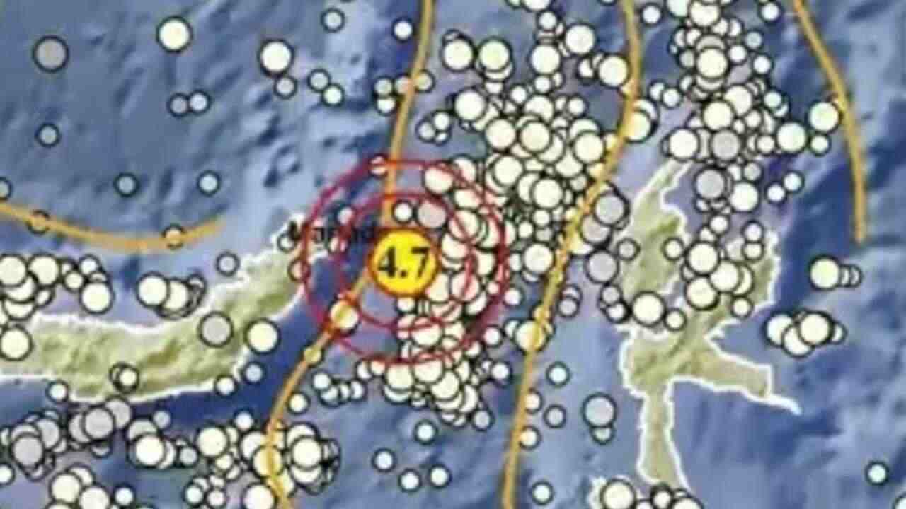 Gempa Bumi Magnitudo 4,7 Siang Ini Guncang Bitung pada Kedalaman 43 Km, Tak Berpotensi Tsunami