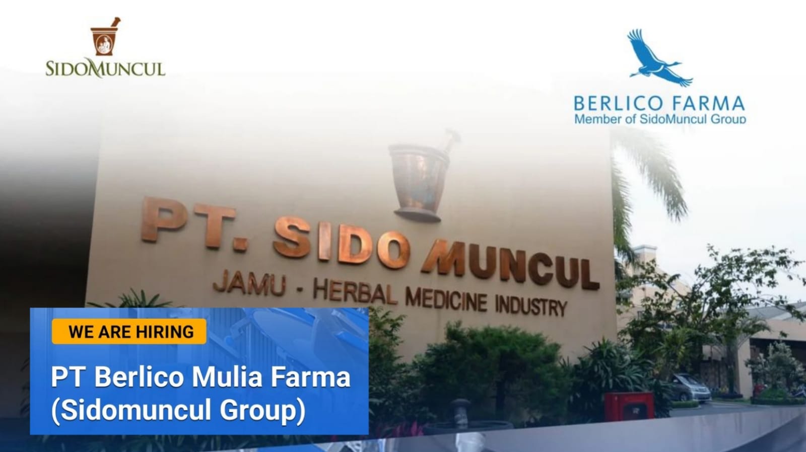 Lowongan Kerja PT Berlico Mulia Farma (Sidomuncul Group) untuk Lulusan SMA Semua Jurusan, Ini Persyaratannya!