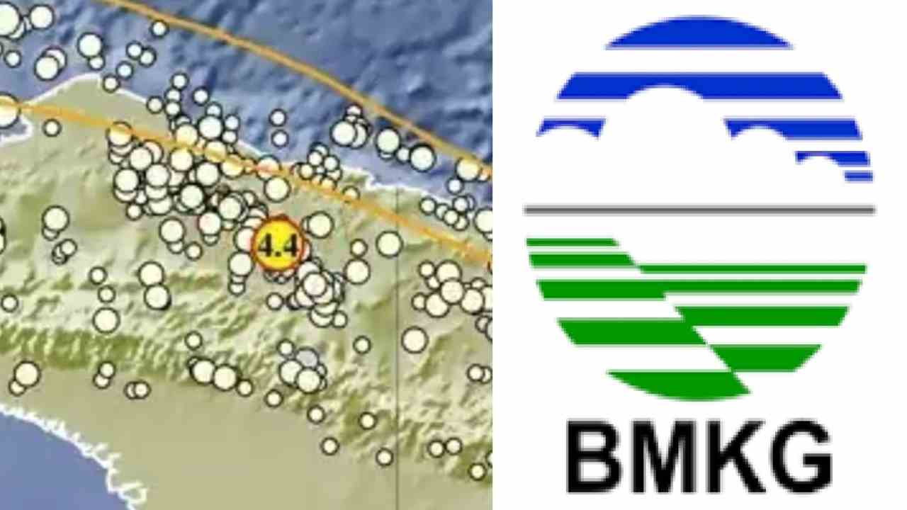 Update BMKG, Kabupaten Jayapura Papua Pagi Ini Diguncang Gempa 4.4 Magnitudo, Cek Episetrumnya