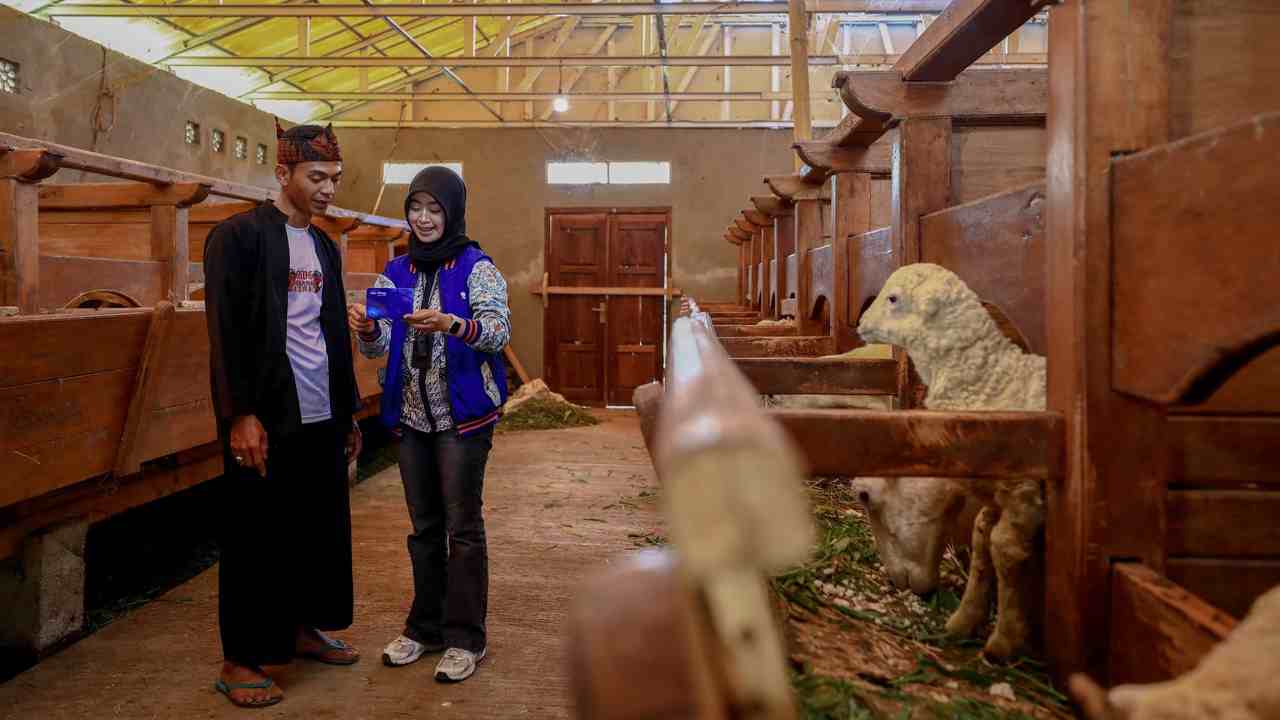 Momentum Idul Adha, BRI Bantu Peternak Domba di Desa BRILiaN Sukalaksana Garut