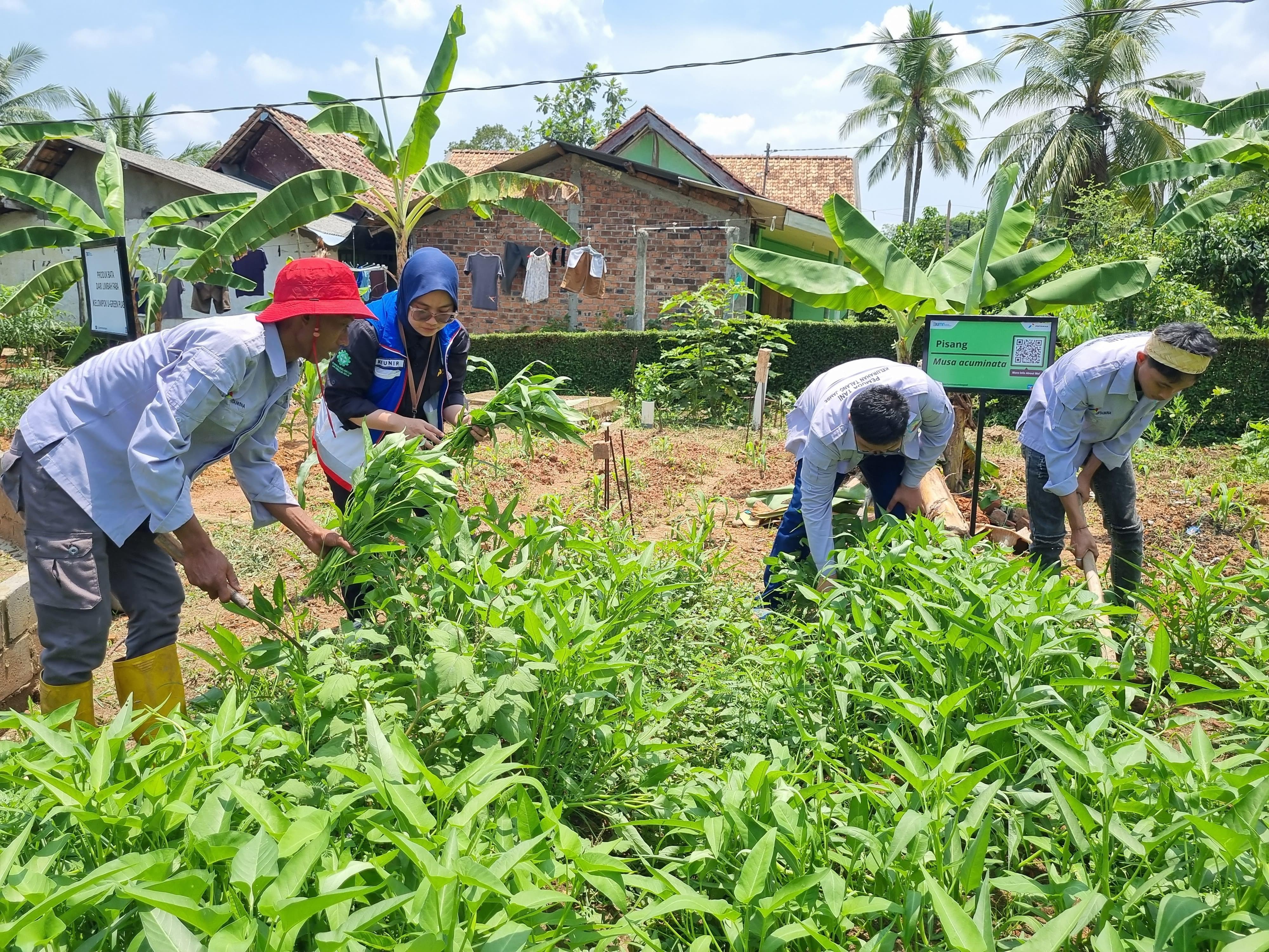 Mitra Binaan Pertamina Sulap Lahan Bekas Galian Jadi Sumber Pangan dan Produk UMKM