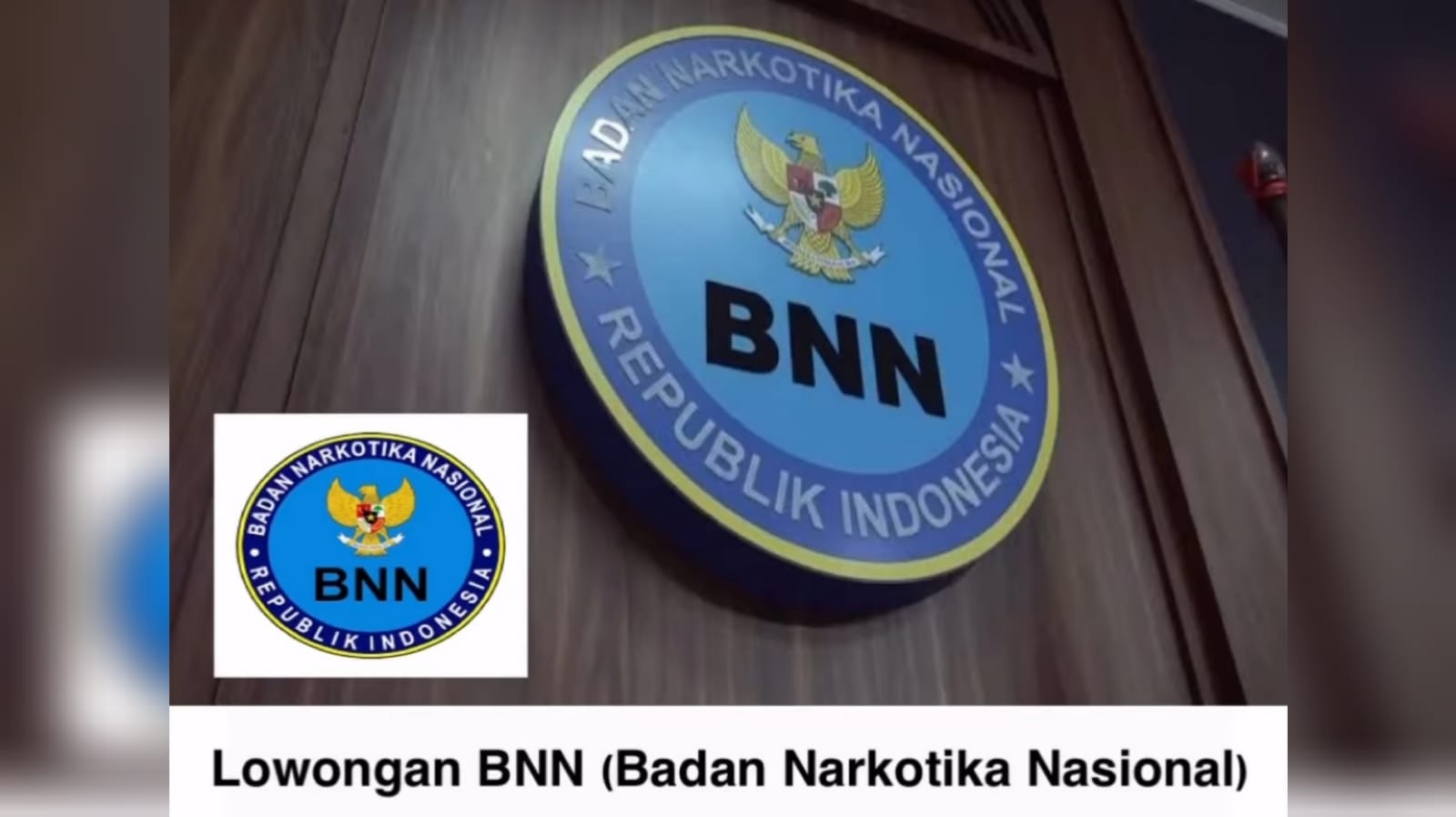 Lowongan Kerja BNN (Badan Narkotika Nasional)