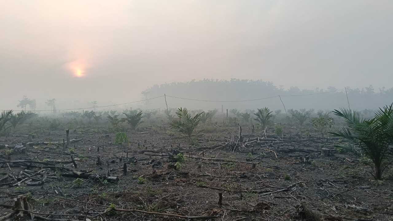Kabut Asap Pekat Kepung PALI, Petani Karet Terpaksa Setop Menyadap