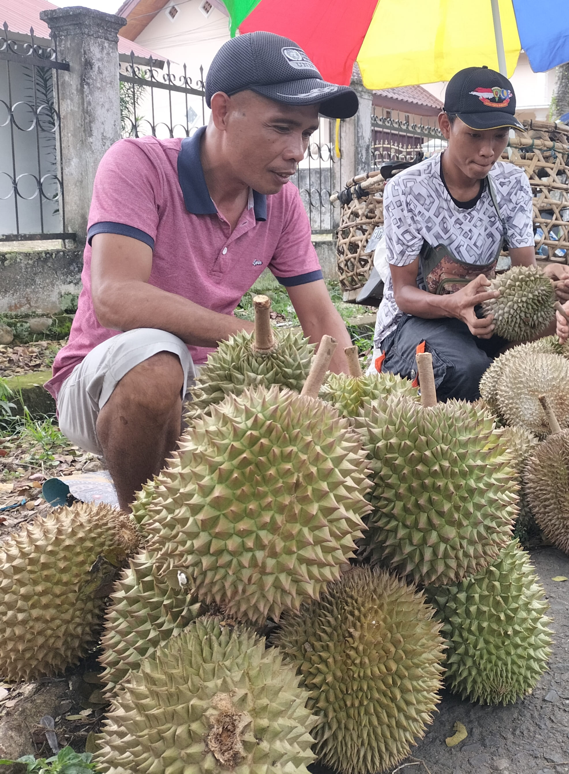 Yuk Mari Icip-icip Durian Lubuklinggau, Rasa Manisnya Bikin Ketagihan 