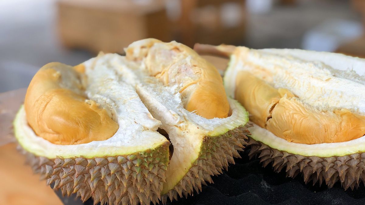 Konsumsi Durian Bisa Sebabkan Kolesterol, Cek Faktanya Disini 