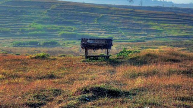 7 Tempat Wisata Terpopuler di Bekasi! Sajikan Panorama Indah yang Fotogenic, Lengkap dari Pantai hingga Fauna