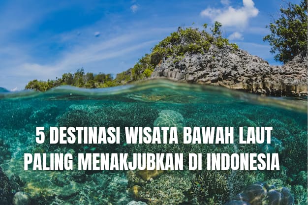 Selain Raja Ampat, 5 Destinasi Bawah Laut Paling Menakjubkan di Indonesia