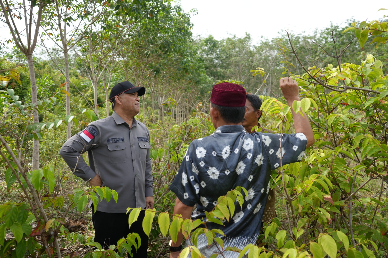 Kakanwil Kemenkumham Sumsel Kunjungi Lokasi Tanaman Gambir, Ini Pesan yang Disampaikannya