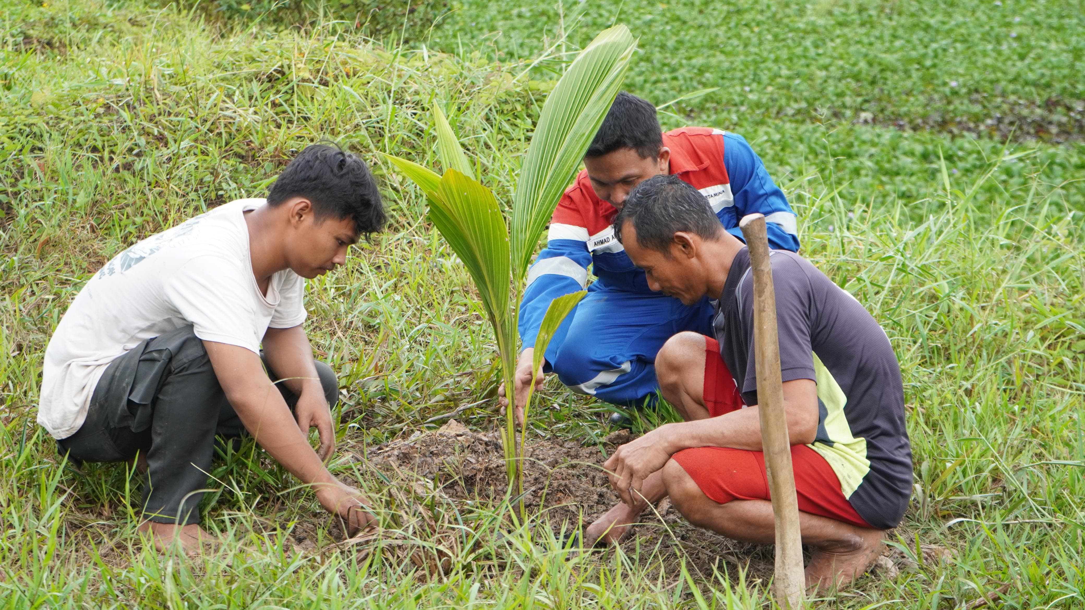 Pertamina Lakukan Konservasi Pohon di Kawasan Ring 1, Upaya Minimalisir Emisi Gas Rumah Kaca