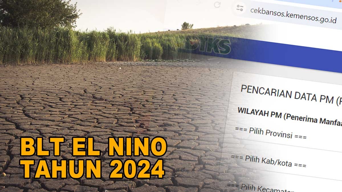 Update Terbaru! BLT El Nino dan Bansos Pangan Cair Lagi Bulan Ini,  Kuota  Bertambah? Cek Faktanya  