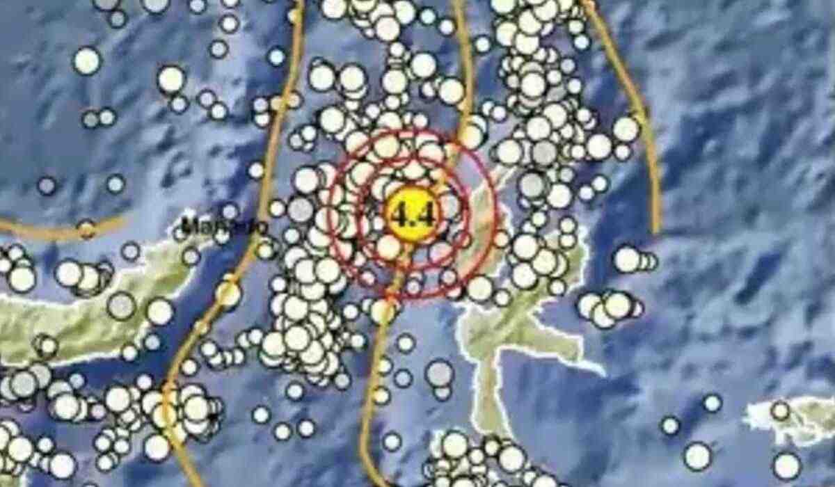 Pagi Ini Gempa Guncang Sorong Papua Barat dan Halmahera Barat, Kekuatannya 3.1 dan 4.4 Magitudo