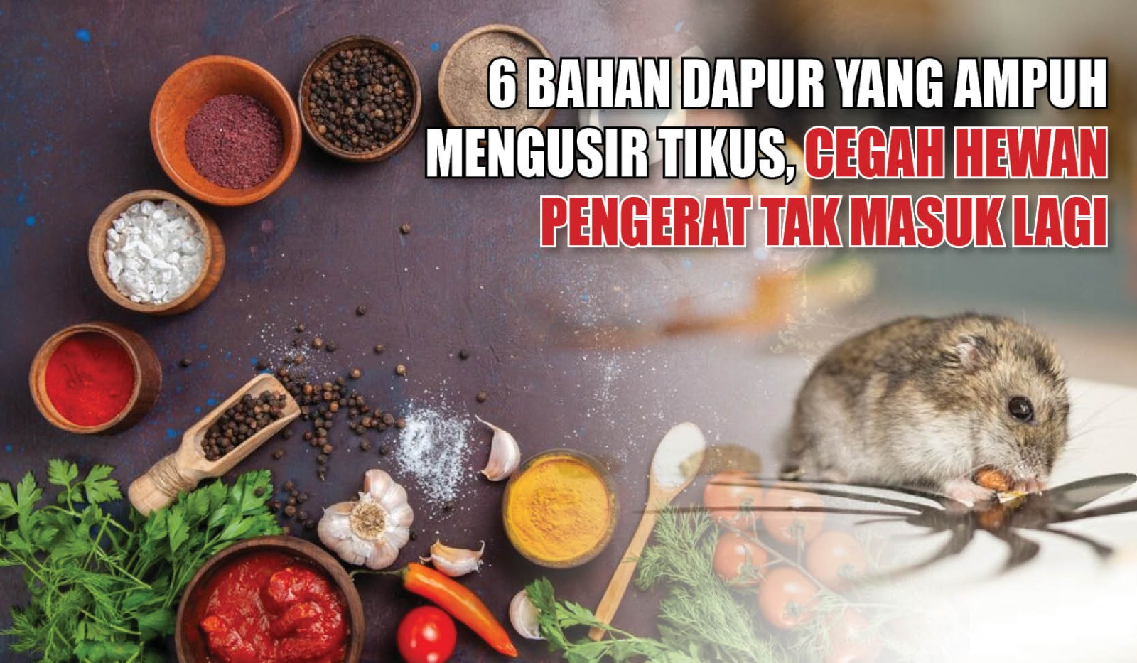 6 Bahan Dapur yang Ampuh Mengusir Tikus, Cegah Hewan Pengerat Tak Masuk Lagi