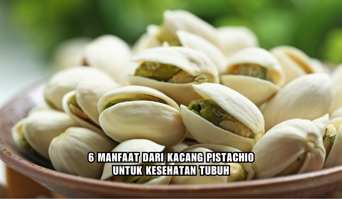 Jarang Diketahui, Ini 6 Manfaat Kacang Pistachio untuk Kesehatan Tubuh, Bisa Turunkan Berat Badan?