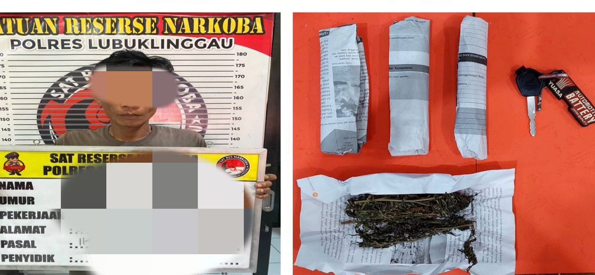 Satres Narkoba Polres Lubuk Linggau Tangkap Pengedar Ganja