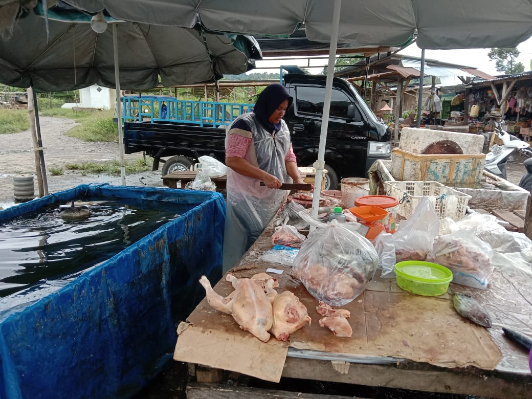 Awal Tahun 2023, Harga Ayam Potong di Kota Pagaralam Masih Tinggi