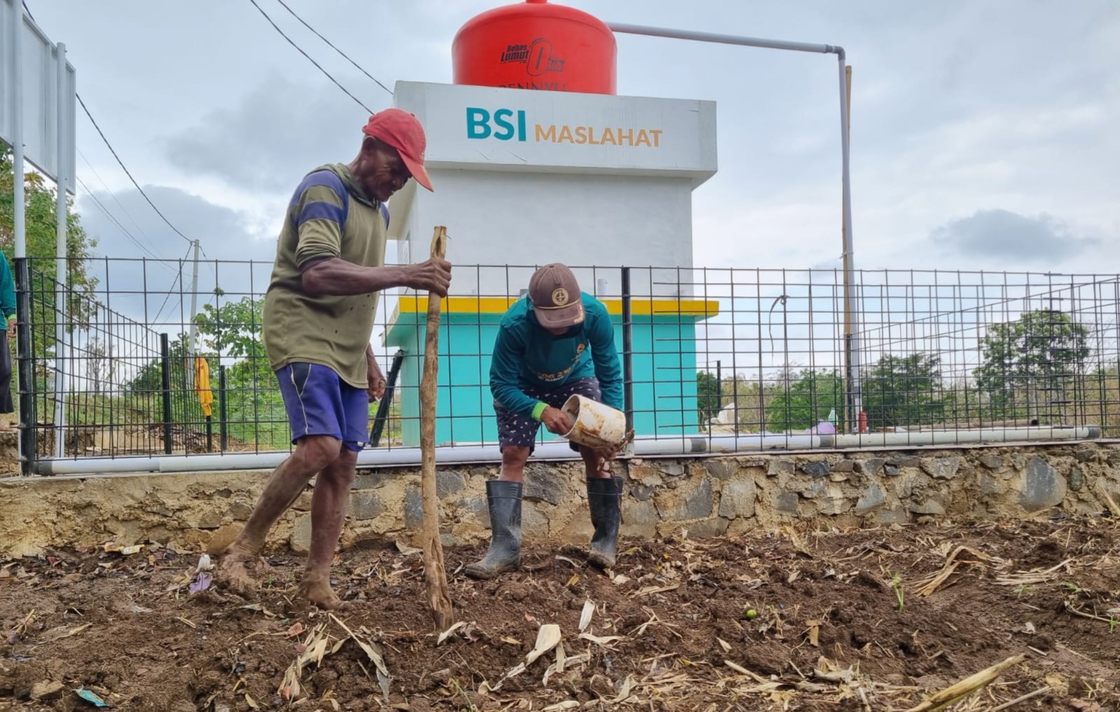 Kisah Sukses Sumarno, Petani Jagung Binaan BSI Maslahat Berhasil Berdayakan Masyarakat 