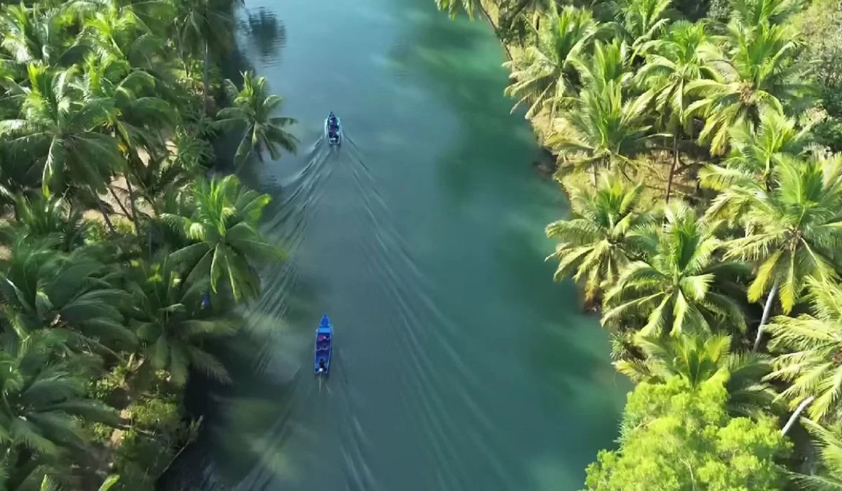 6 Rekomendasi Wisata di Kota Pacitan, Nomor 1 Menyuguhkan View Bak Sungai Amazon