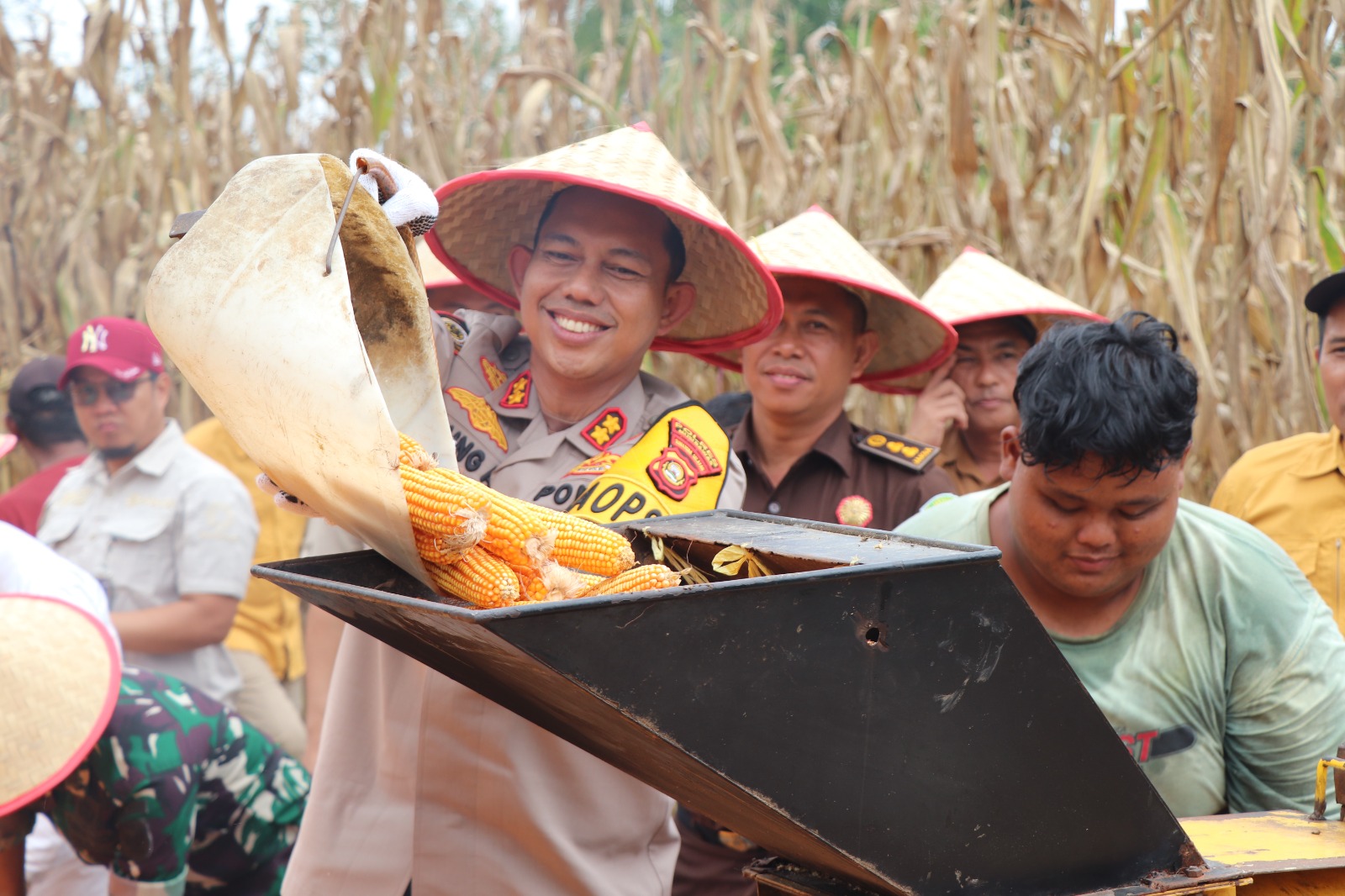 Dukung Program Presiden, Polres Musi Rawas Kembali Panen Raya Jagung Tahap