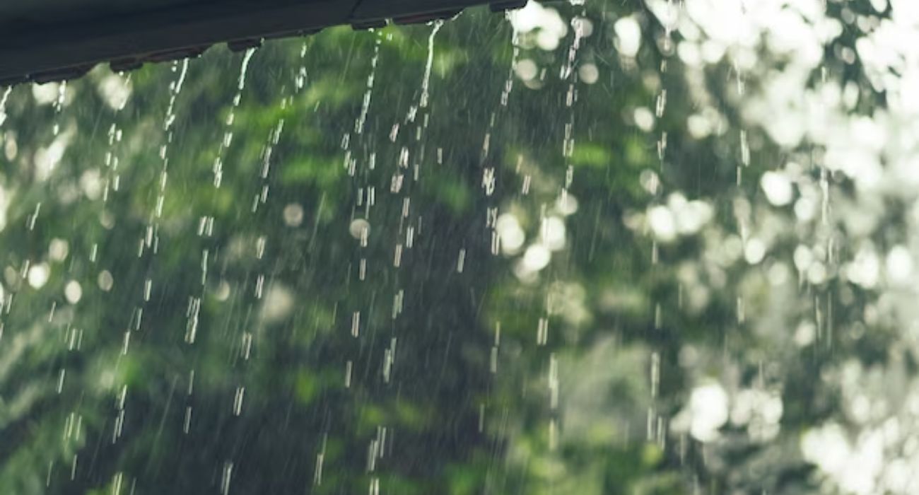 Peringatan Dini Hari Jumat 19 Januari 2024: Sumatera Selatan Diprediksi Hujan Ringan Hingga Petir
