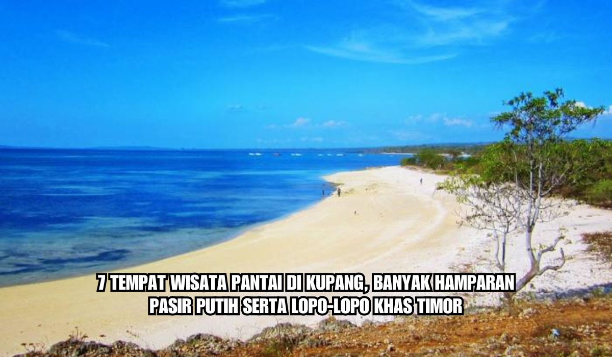 7 Tempat Wisata Pantai di Kupang, ada Lopo-lopo Khas Timor, Nomor 6 Bikin Melongo