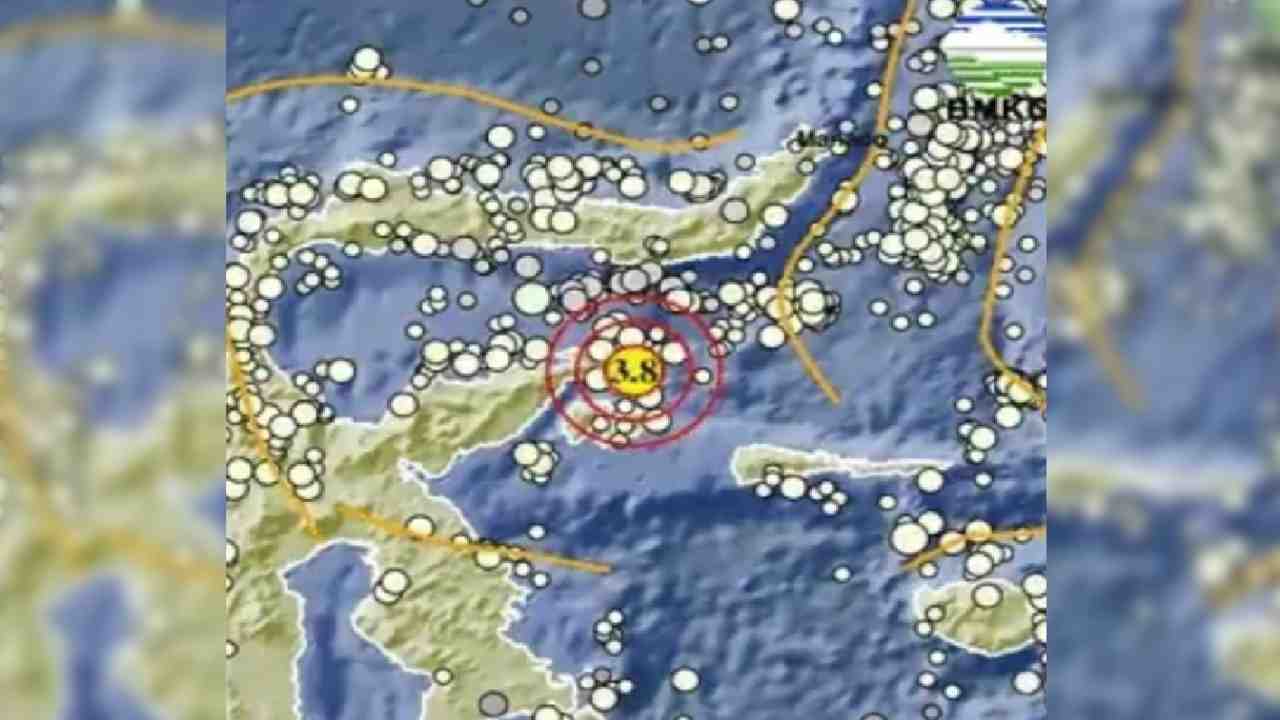 Update BMKG, Gempa 3.8 Magnitudo Guncang Banggai Kepulauan Sulteng, Tak Berpotensi Tsunami