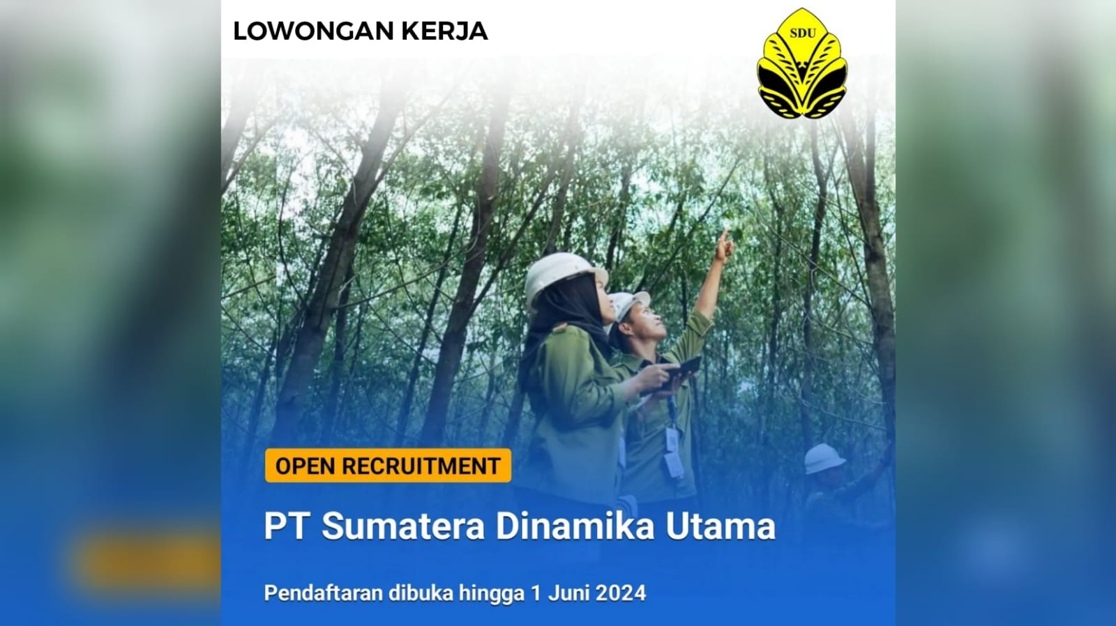 10 Lowongan Kerja Terbaru Dibuka PT Sumatera Dinamika Utama (SDU) Cek Syarat dan Kualifikasi Lengkapnya