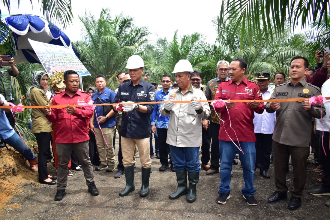 SUMRINGAH! Petani Sawit di Mesuji Raya OKI Panen Perdana Program PSR