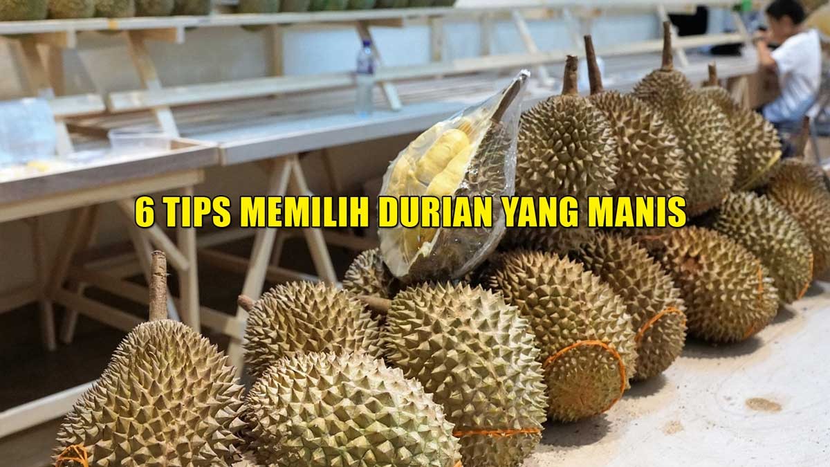 6 Tips Memilih Durian yang Manis, Dagingnya Tebal, Legit, dan Tidak Kena Zonk!