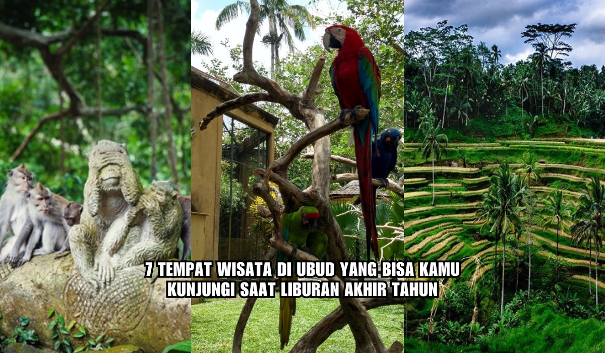 Lagi Cari Ide Liburan Akhir Tahun? Yuk Kunjungi 7 Tempat Wisata di Ubud Bali, Lengkap Harga Tiket Masuk