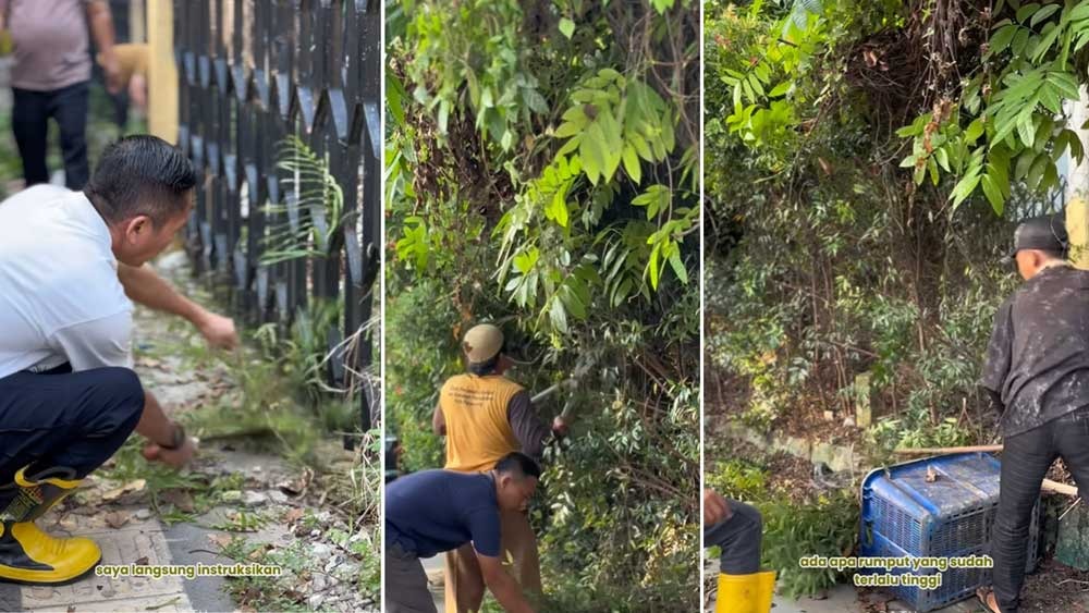 Sempat Viral Rumput Menutupi Jalan di GOR Bumi Sriwijaya, Ratu Dewa Langsung Turun Tangan