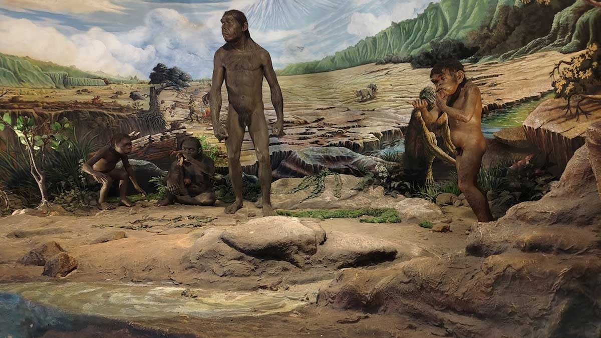 Dari Fosil Manusia Tertua Hingga Paling Muda, Ini Daftar Manusia Purba yang Pernah Ditemukan di Indonesia