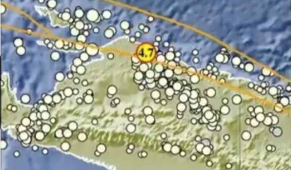 Update BMKG, Gempa 4.7 Magnitudo Guncang Mamberamo Tengah, Provinsi Papua