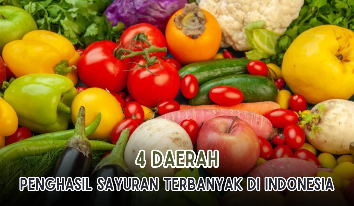 4 Daerah Penghasil Sayuran Paling Banyak Di Indonesia, Ratusan Ton Sayuran Dihasilkan dari Pulau Sumatera!