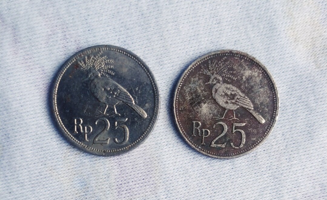 Koin Kuno Rp25 Tahun 1971 Banyak Dicari Kolektor, Harganya Setara Motor Matic, Kamu Punya?