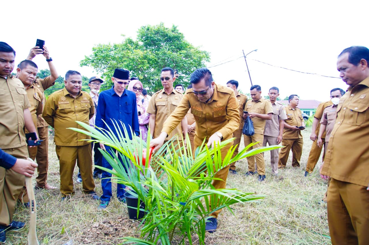 Manfaatkan Aset Tak Terpakai, Pemkab Muba Tanam Sawit dan Tebar 10 Ribu Benih Lele