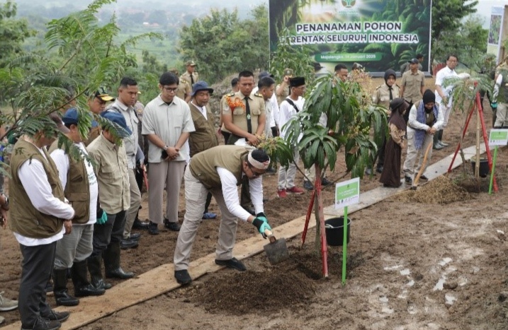 Pertamina EP Hijaukan 6,3 Hektare Lahan DAS di  dengan Tanam Pohon Serentak