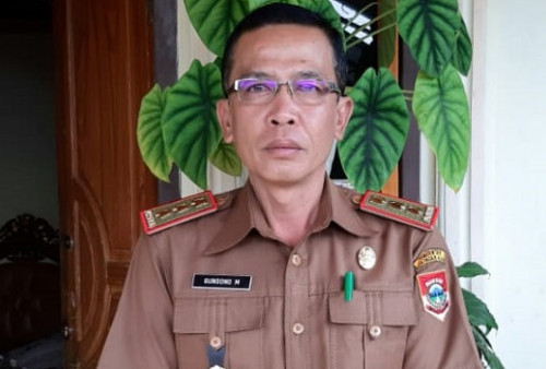 Pusat Bantu Petani Pagaralam Bibit Unggul Padi, Hasil Panen Akan Meningkat