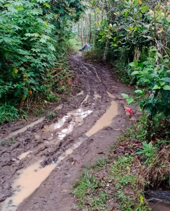 Akses Jalan Menuju Cughub Nibung Memprihatinkan, Kades Langsung datangi 2 Wakil Rakyat