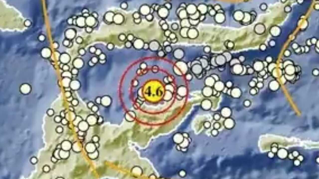 Update BMKG, Gempa Magnitudo 4.6 Guncang Tojo Una-Una Sulteng, Ini Titik Episentrumnya