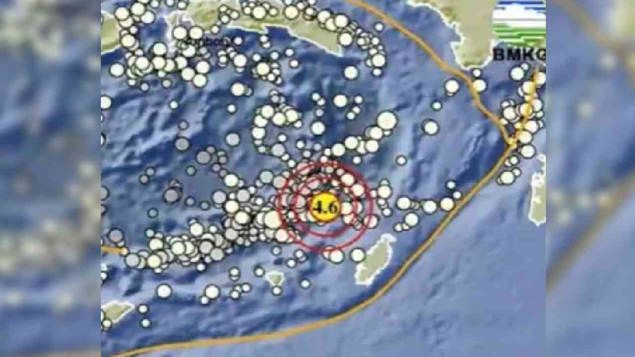 Update BMKG, Gempa 4.6 Magnitudo Guncang Maluku Tenggara Barat, Tak Berpotensi Tsunami