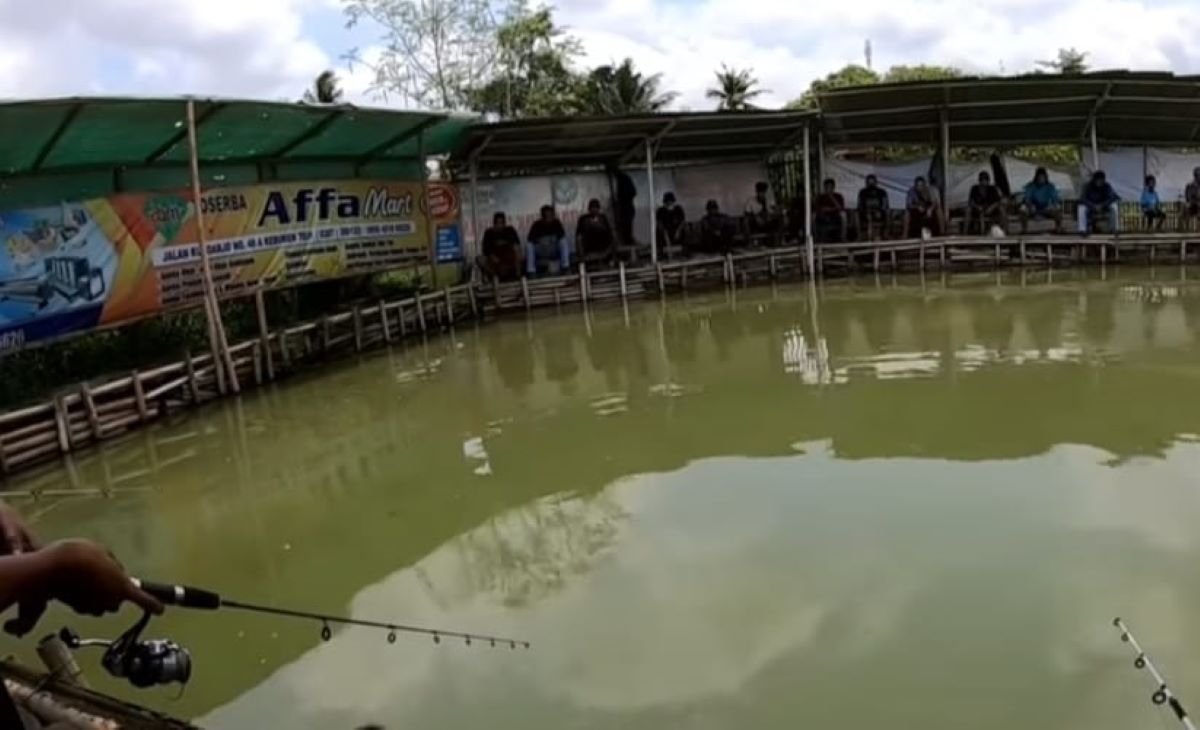 Berikut 5 Jenis Umpan Alami Paling Gacor untuk Mancing Ikan Lele di Kolam Harian